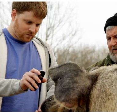 google translate for animals. quot;Translate for Animals is an