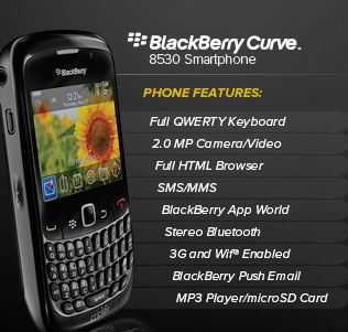 CricketBlackBerryCurve.JPG