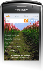 Verizon Bings BlackBerry Storm and Other BlackBerry Devices (Storm2): Solutions Offered