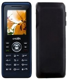 crickets1300.jpg