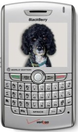BarackBerry-BoBerry.jpg