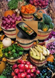 palmpreonveggies.jpg