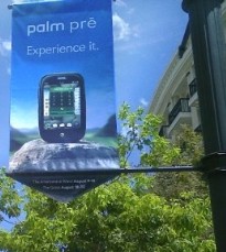 palmpreexperience.jpg