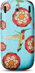 hummingbird_back.jpg