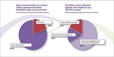 IDC Survey Says, “Don’t Cap Bandwidth”