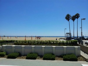 View from Marion Davies Porch